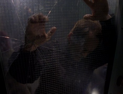 Millennium Walkabout 1